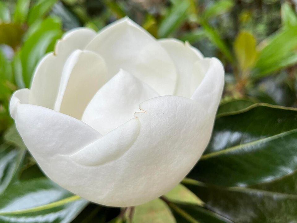 67th image of this home