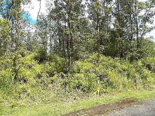 1st image of Orchid Land Dr Lot 101