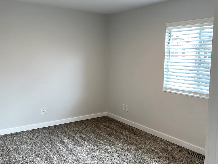 11787 Black Maple Ln — Photo 13