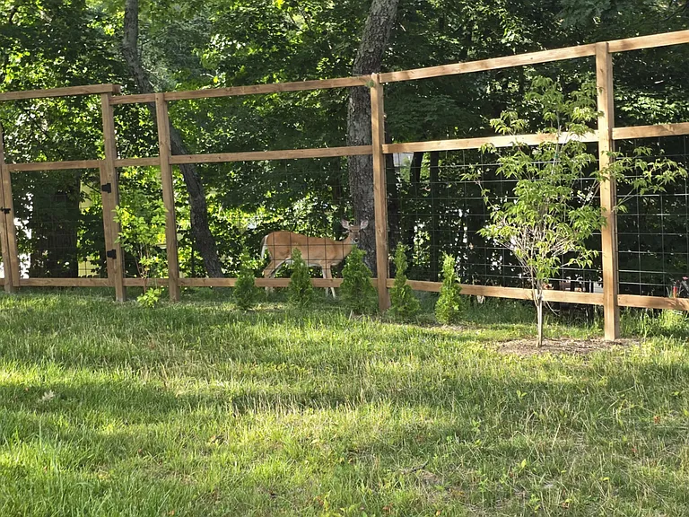 Deer fence works. :)