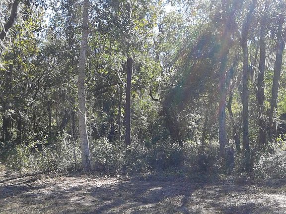 conservation area behind lot