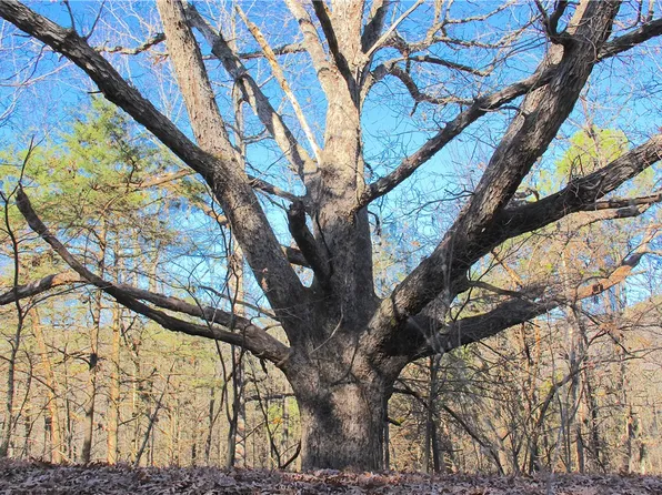 County Road 6012, Berryville, AR 72616