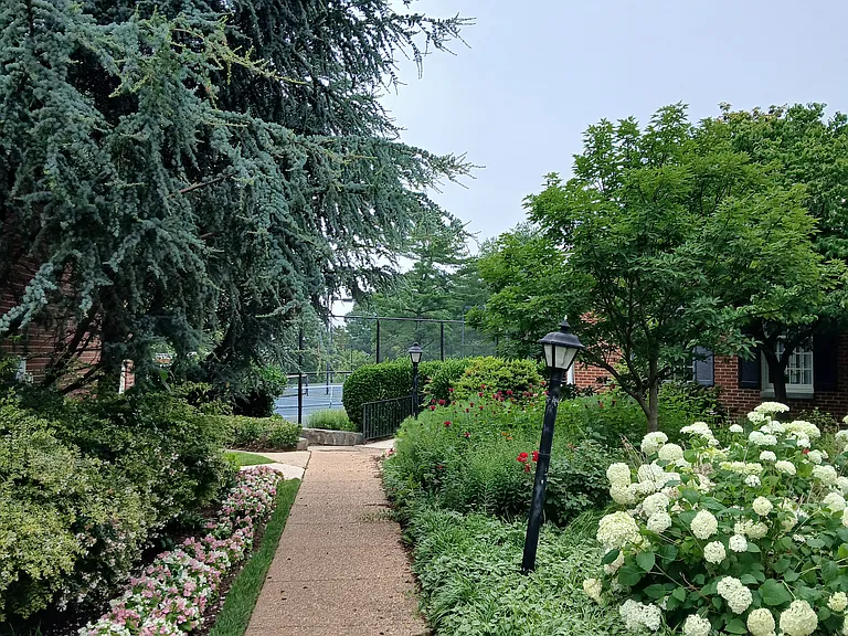 Access to tennis courts