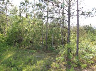 1-01 Van Riggs Rd, Hubert, NC 28539