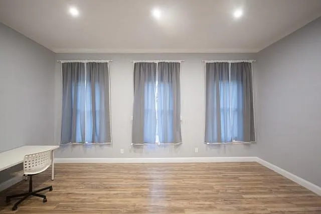 1 bed, 385 sqft, $790 — Photo 3