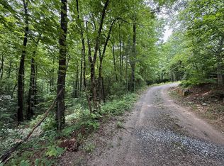 0 Mr Bert Rd, Hiawassee, GA 30546