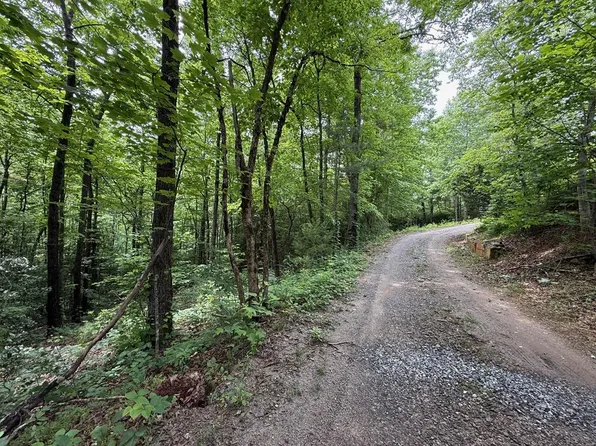 0 Mr Bert Rd, Hiawassee, GA 30546