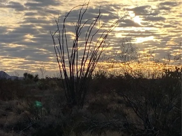 946 S Butch Cassidy Rd, Yucca, AZ 86438