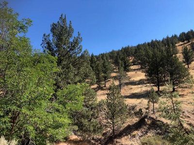 50211 Wiley Creek Rd, Mount Vernon, OR, 97865