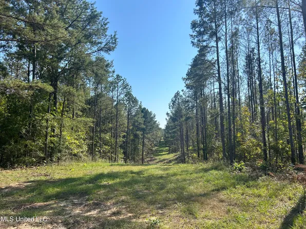 Rials Rd, Georgetown, MS 39078