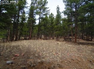 49 Crystal Rd, Lake George, CO 80827