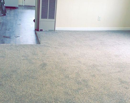 2nd image of 427 Dunkard Ave #A