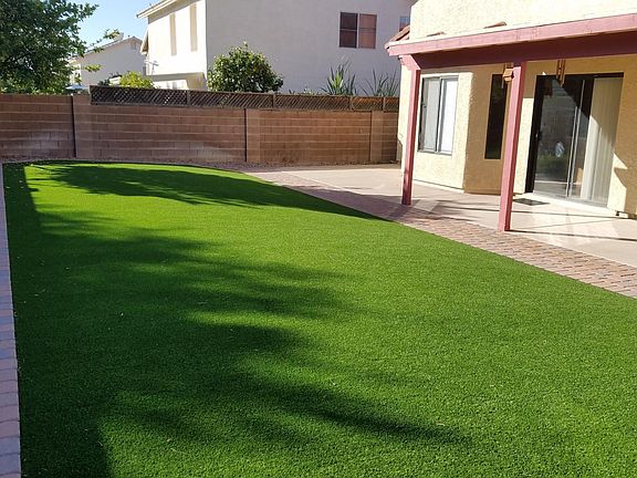 Back yard