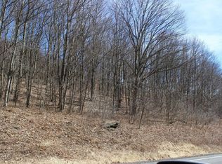 0 County Highway 26 #17, Hamden, NY 13782