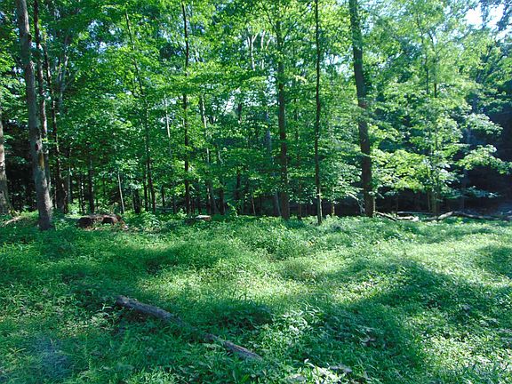 4th image of 1245 County Road 496