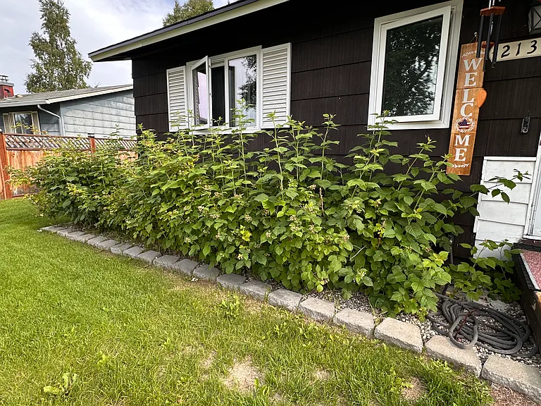 213 Bentley Dr — Photo 24