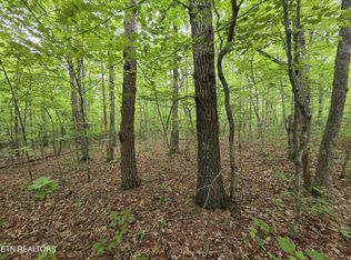 4 Cumberland Lakes Dr, Monterey, TN 38574