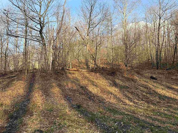 5th image of Wash Run Rd