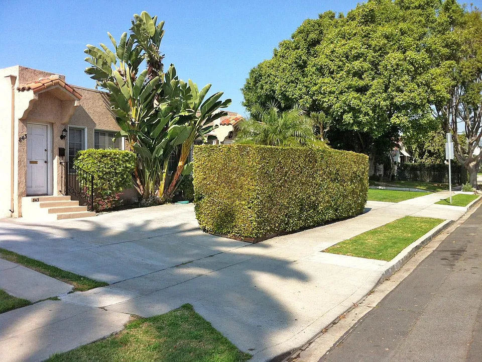 845 N Citrus Ave