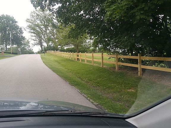 New section of fence 2019