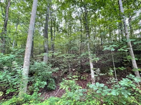 LOT 51 Yellowwood Dr, Sevierville, TN 37876