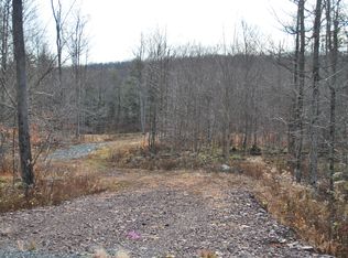 Lot 24 The Woods At Duck Harbor, Equinunk, PA 18417