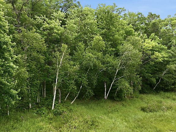 5th image of 0 Goose Lake