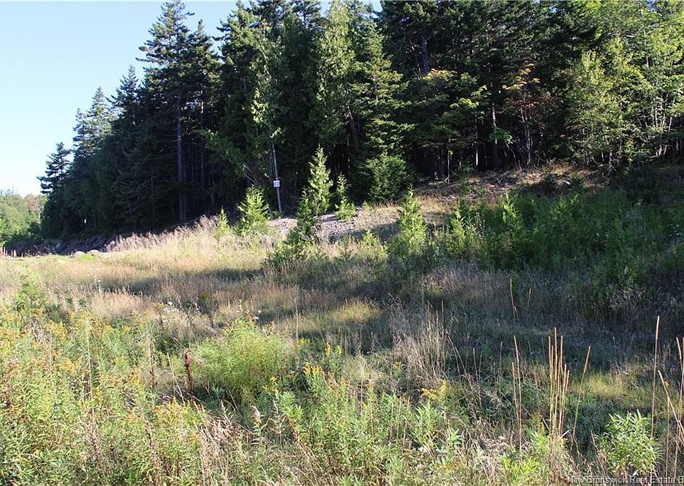 1st image of 0 Drury Cove Rd