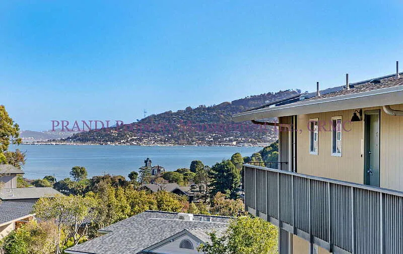 2 bed, 2.0 bath, 980 sqft, $3,150 — Photo 2