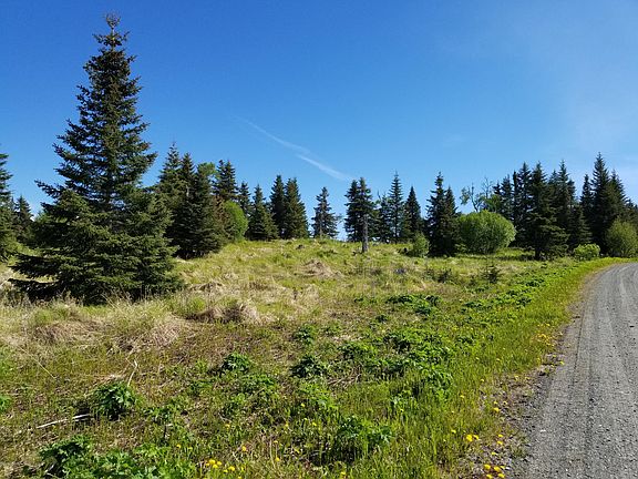 4th image of 17698 Kimeluk St