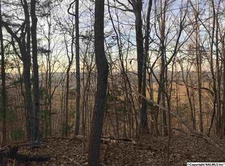 137 State Hwy, Valley Head, AL 35989