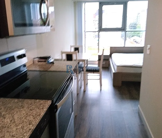 257-1 Hemlock St #523 — Photo 5