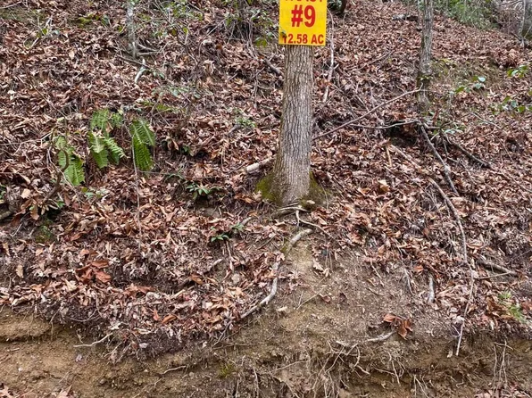 9 Stanley Creek Rd, Oneida, TN 37841