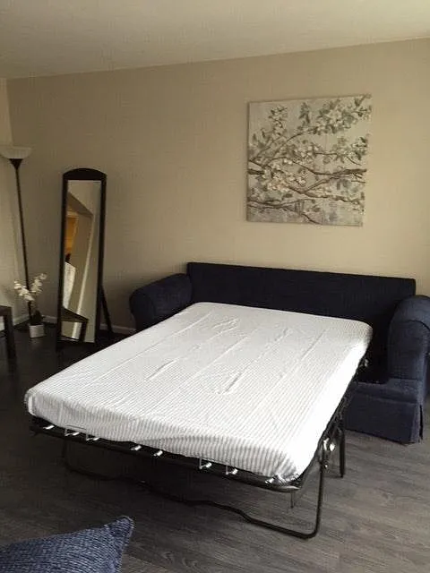 1 bed, 500 sqft, $1,995 — Photo 4