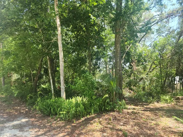 TBD SE 218th Ave, Old Town, FL 32680