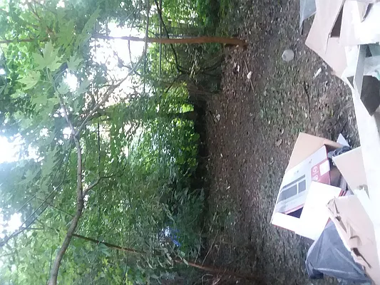 Rented by Spot It Realty LLC | media 2