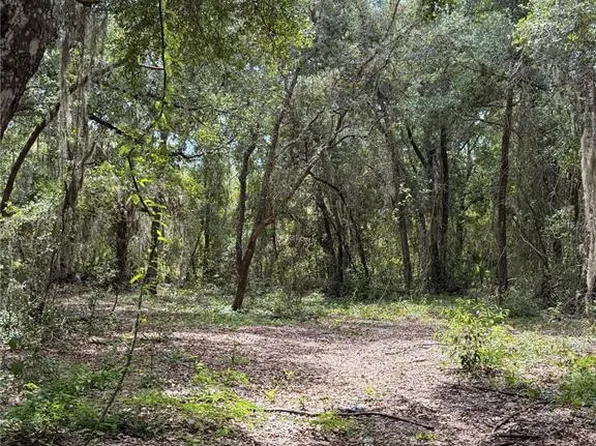 (undisclosed Address), LADY LAKE, FL 32159
