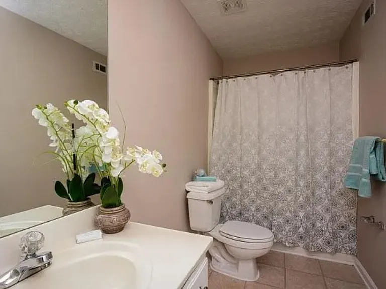 2295 Carlysle Cove Dr — Photo 13