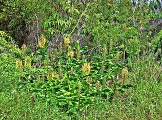 11-2800 Makoa Rd LOT 46, Volcano, HI 96785