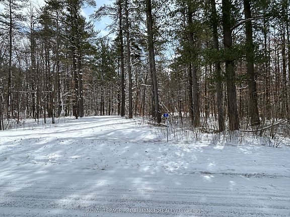 2nd image of 97 Greenly Rd