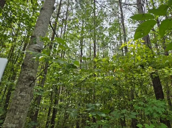 691 Miller Camp Rd, Buckingham, VA 23921
