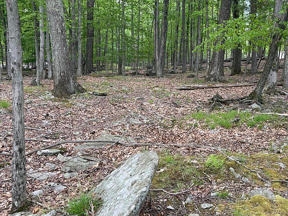 4th image of 1 E Thirteen Shore Rd