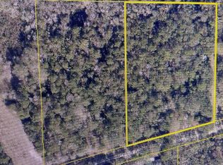 156th Ter, Live Oak, FL 32060