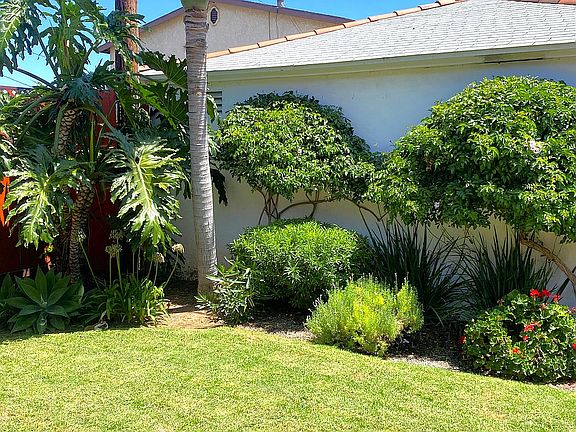 5th image of 4885 Biona Dr