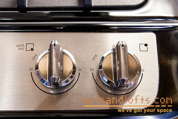 Rented by aptsandlofts.com | media 29