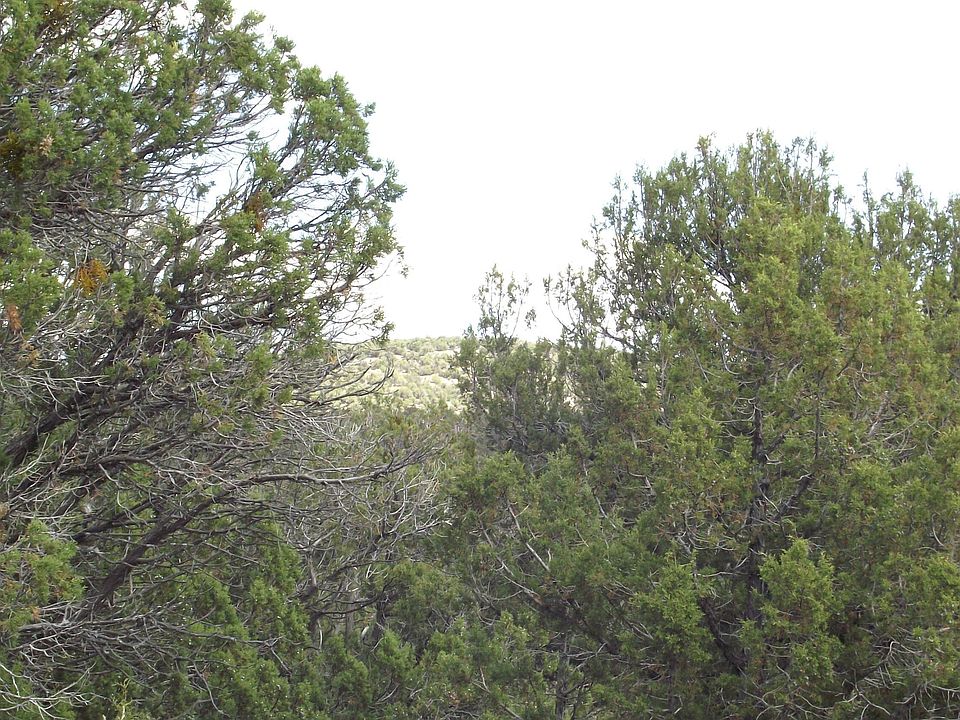 22nd image of 13 Westwood Ranch Rd #356