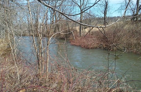 2nd image of 4176 State Route 203