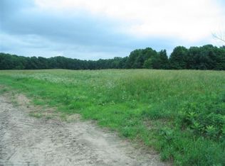 6900 N Holland Rd, Edmore, MI 48829