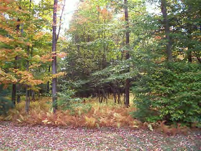 1st image of LOT 15 Other