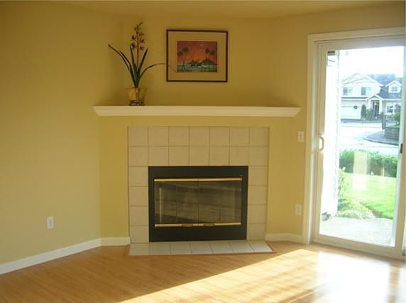 Fireplace and Glass Door